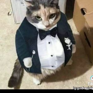 Meet your Posher, Marcel